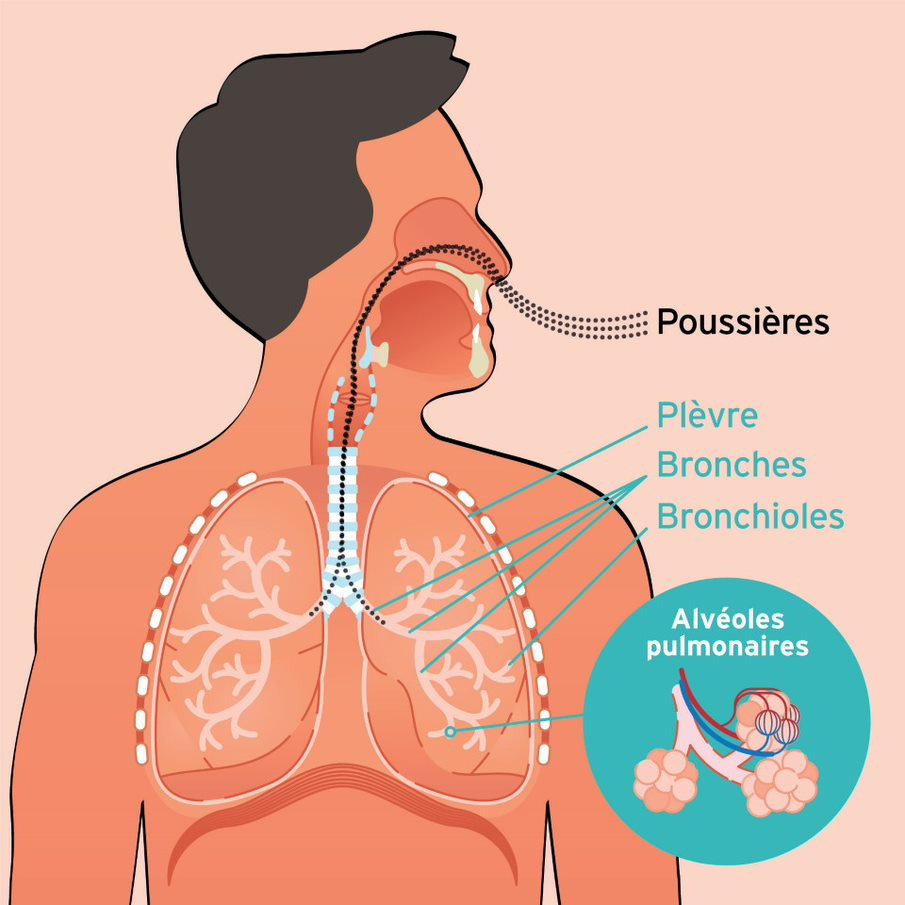 Poussière : définition et explications