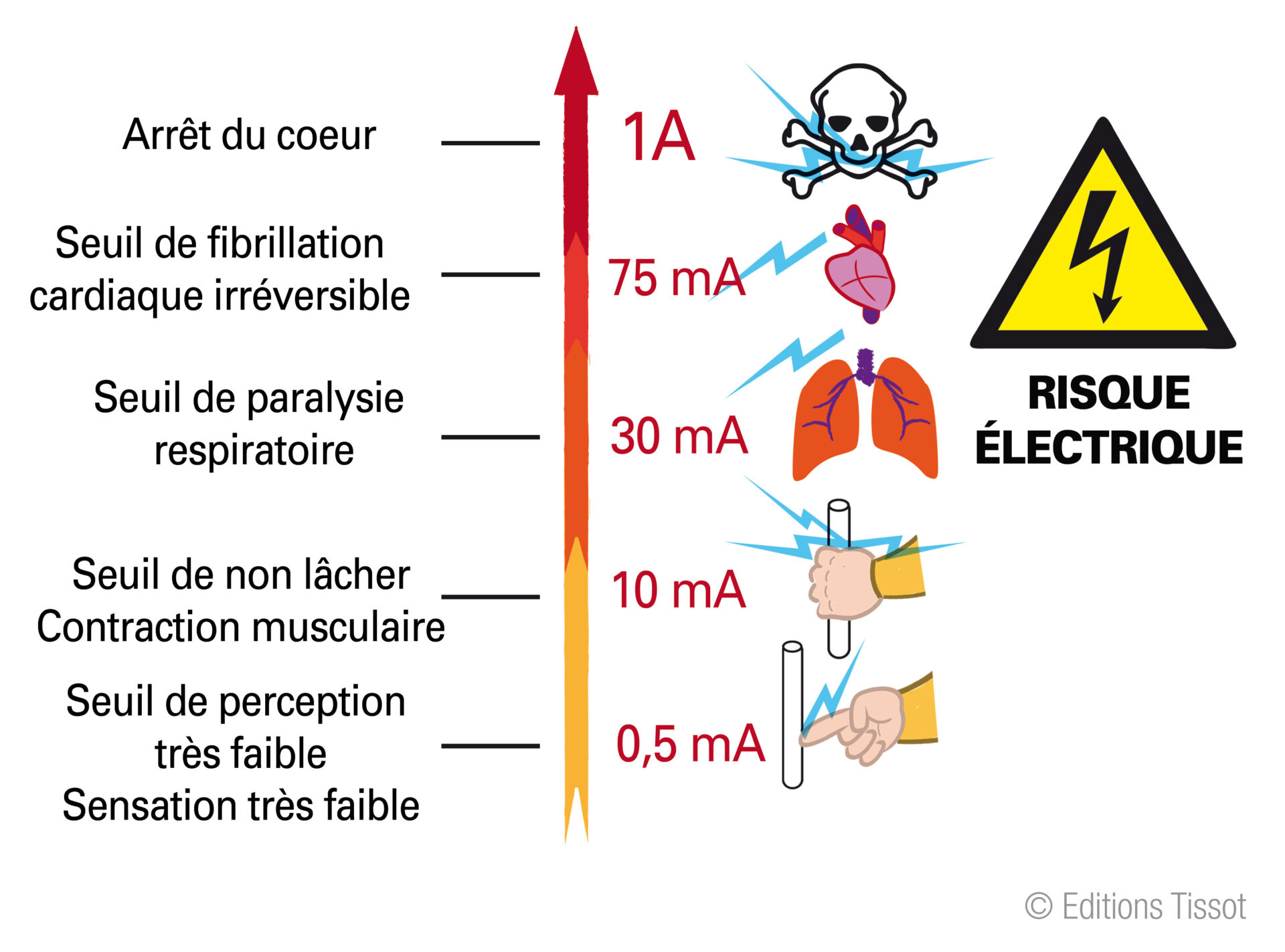 ProSafety Nivelles - ⭐ Focus métier n°1 : Nos préconisations EPI pour les  carreleurs ⭐ Le métier de carreleur peut impliquer des risques, même pour  des professionnels expérimentés. De mauvaises pratiques et